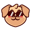 coolplugz Logo