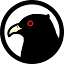 Koyal Logo