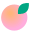 Nectar Agent Logo