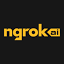 ngrok AI Gateway Logo