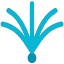 Palma.ai Logo