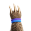 Pawvis Logo
