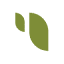 Sesame Logo
