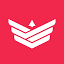 Steadwing Logo