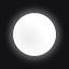White Circle Logo